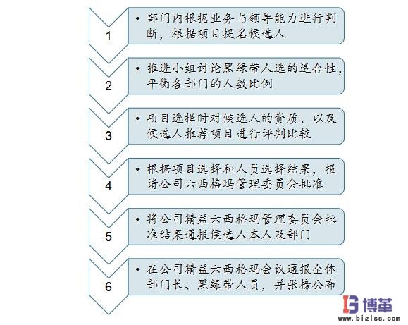 六西格瑪黑帶、綠帶人員的選擇