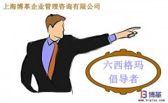 六西格瑪管理中倡導(dǎo)者的職責(zé)是什么？